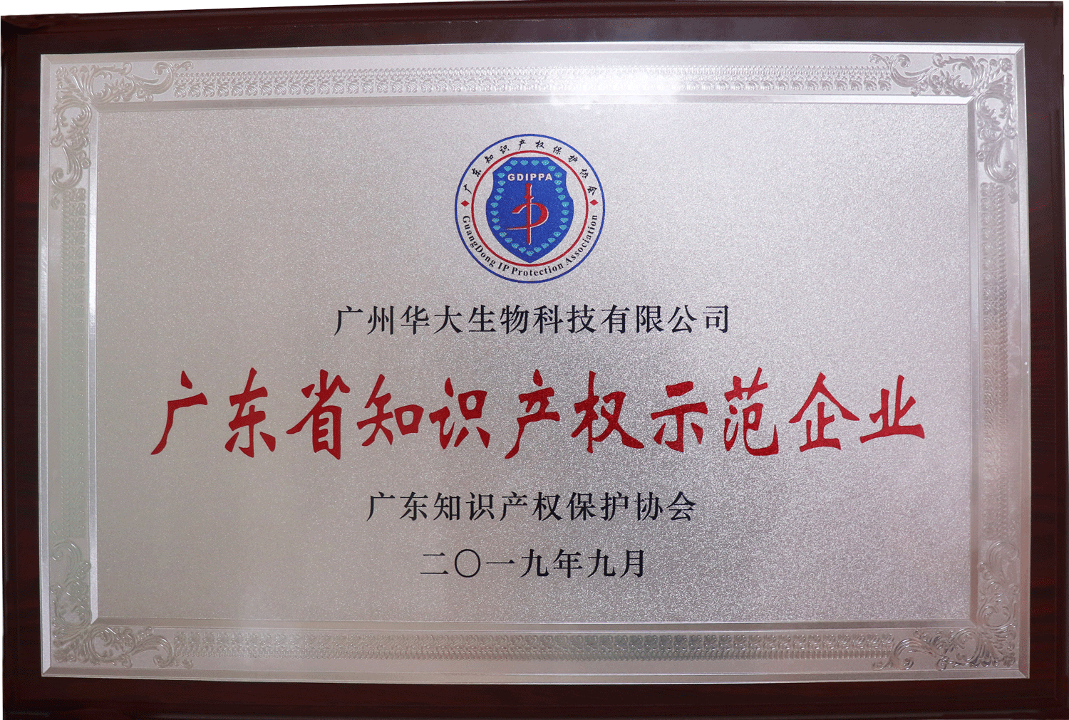 廣東省知識產(chǎn)權示范企業(yè).png